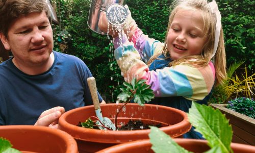 How to Start Gardening for Beginners