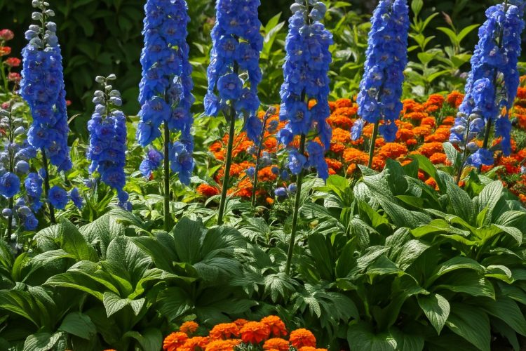 color-trend-2 colorful flowers and plants