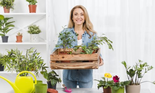 Top Five Flowering Plants for Home Garden