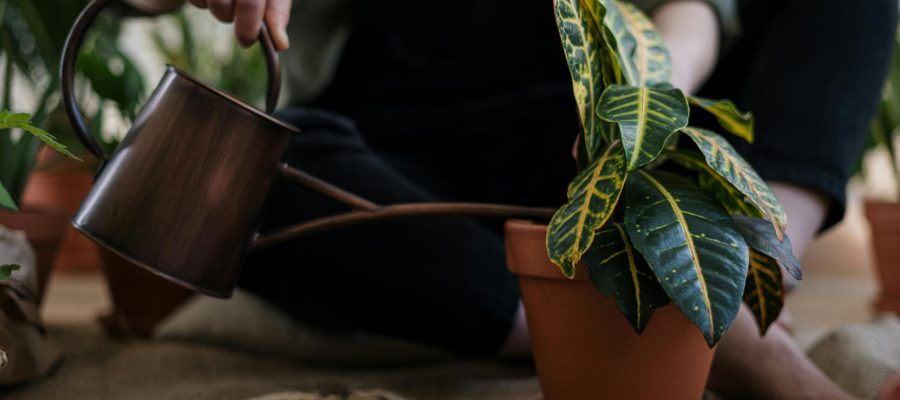 Gardening Tools