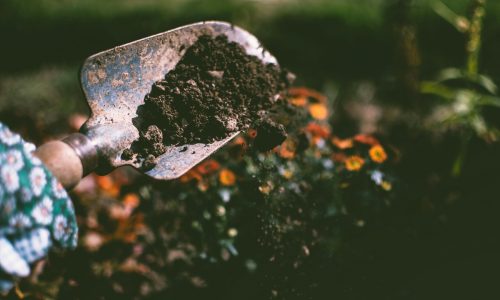 Low Cost Gardening Tools