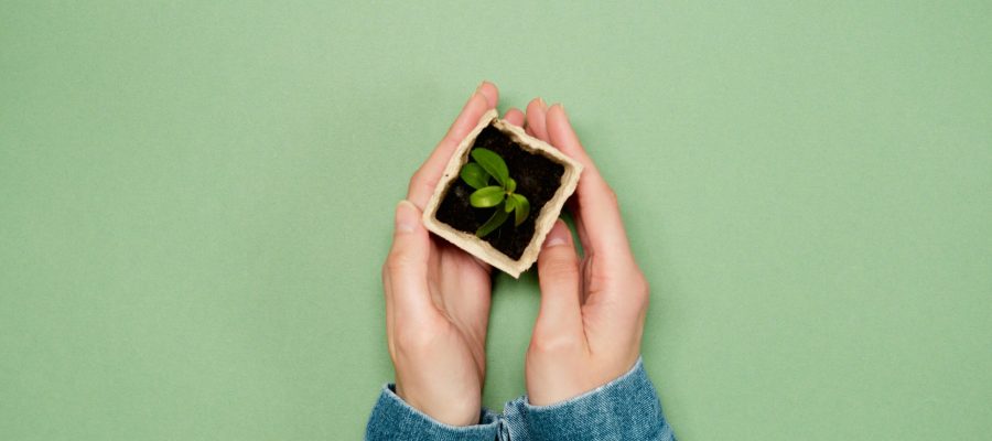 start small low cost and low maintenance